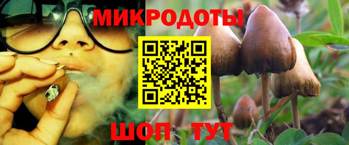 купить наркотики сайты  Вход с VPN  Канаш  Псилоцибиновые грибы Magic Shrooms 